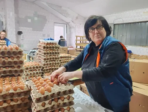 Специфика Ивенецкой птушки Специфика Ивенецкой птушки