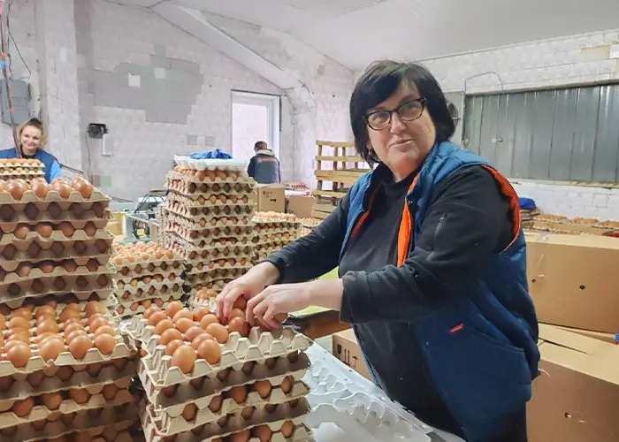 Специфика Ивенецкой птушки Специфика Ивенецкой птушки